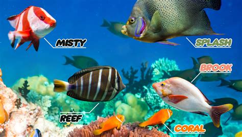 fish name generator|Fish Name Generator: Find the Perfect Name for Your Fish.